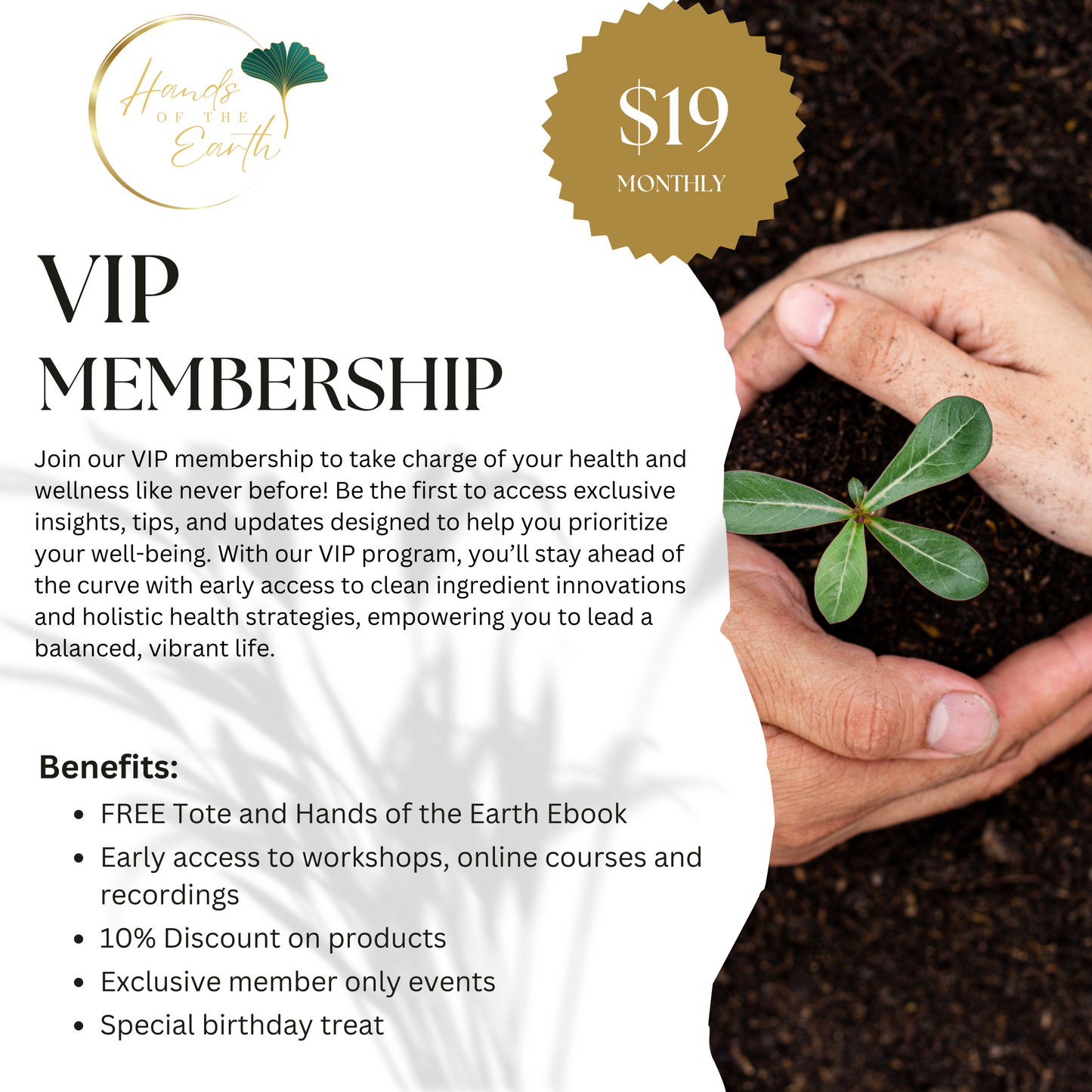 VIP Membership