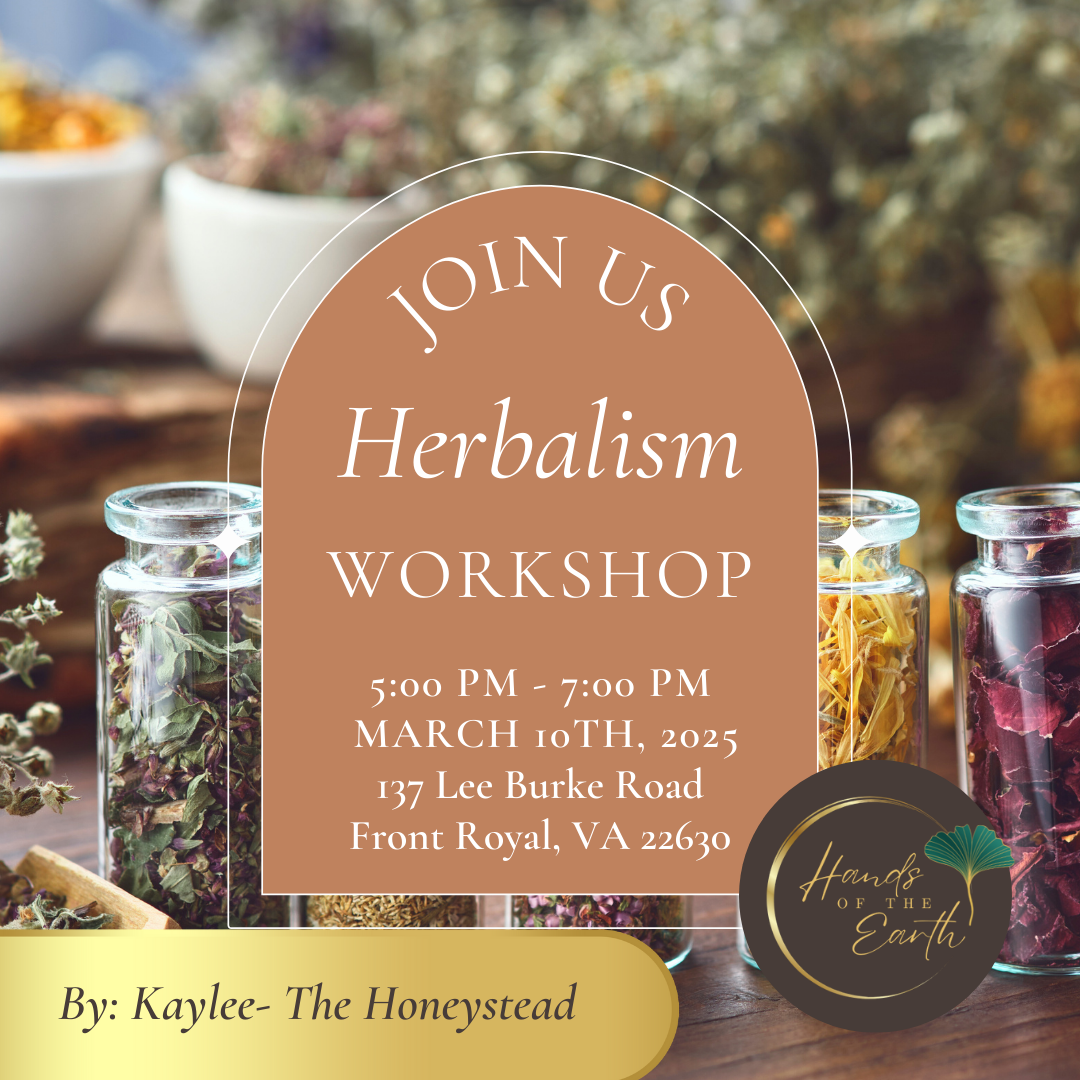 Intro To Herbalism with Kaylee of The Honeystead