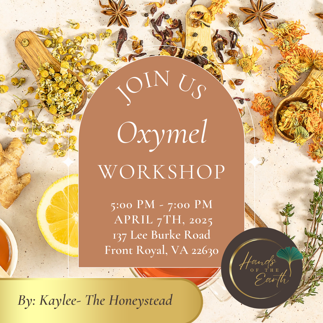 Oxymel Workshop with Kaylee of The Honeystead